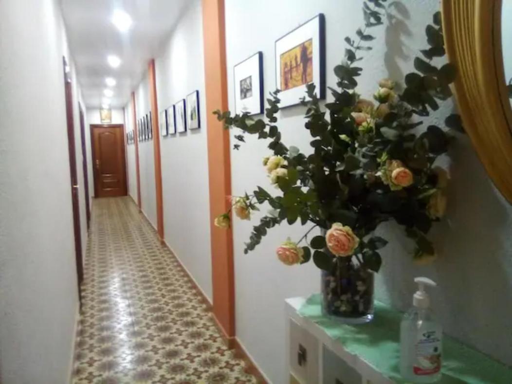 Las Golondrinas Habitacion En Piso Centrico Para Una O Dos Personas Zaragoza Ngoại thất bức ảnh